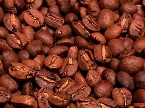 Qué diferencia hay entre el café arábica y el robusta