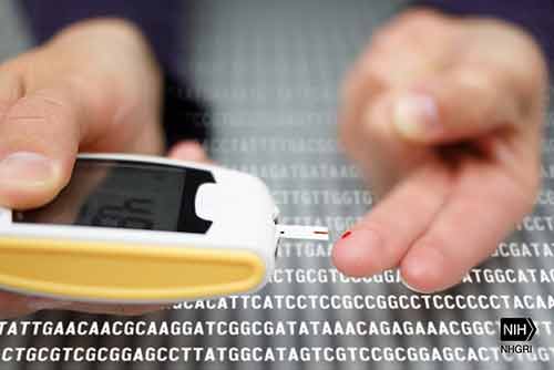 Qué diferencia hay entre diabetes gestacional y diabetes tipo 2